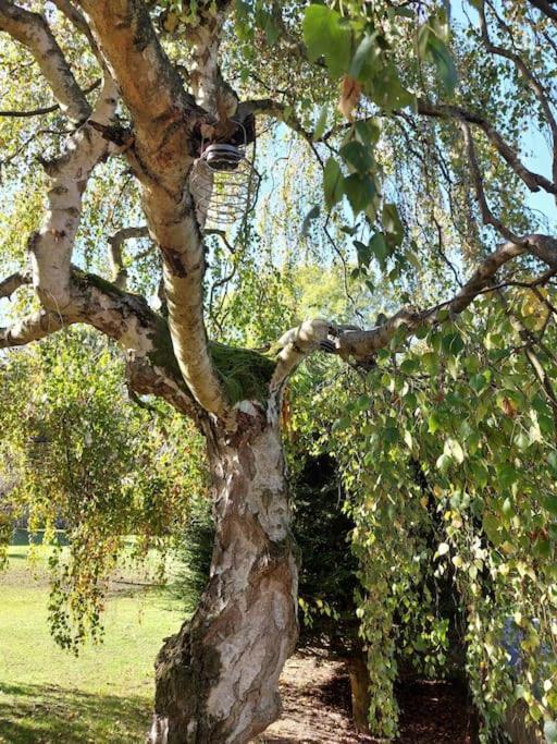 The Squirrels- Alresford, Essex Apartment Ngoại thất bức ảnh